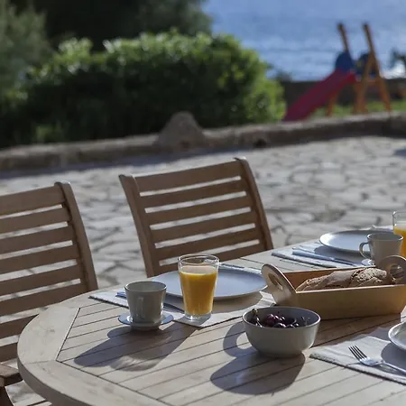 Dialiskari 마라쏘폴리